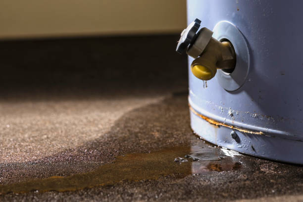 Best Flooded house restoration  in Moroni, UT