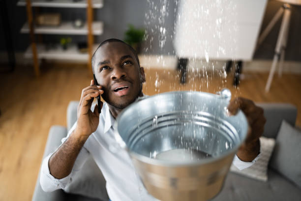 Best Water damage restoration near me  in Moroni, UT