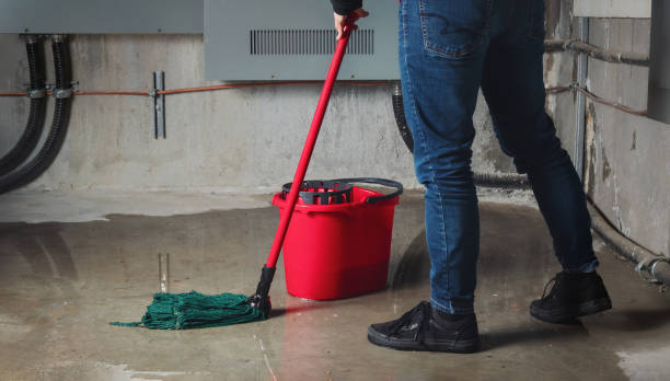 Best Local water damage restoration  in Moroni, UT
