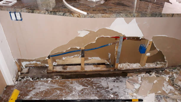 Best Sewage cleanup and water damage restoration  in Moroni, UT