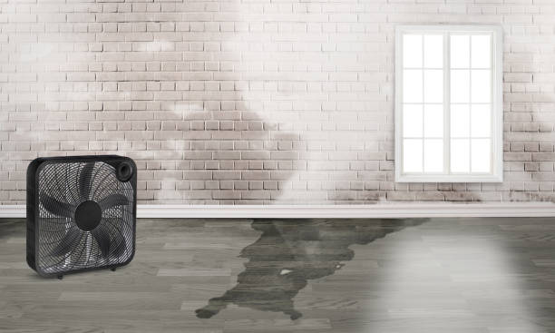 Trusted UT Water damage restoration Experts