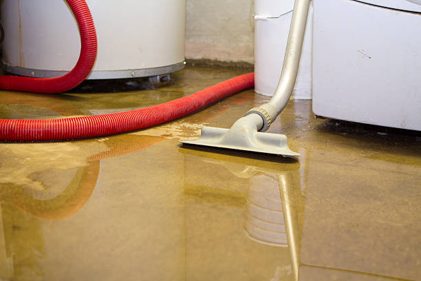 Best Commercial water damage restoration  in Moroni, UT