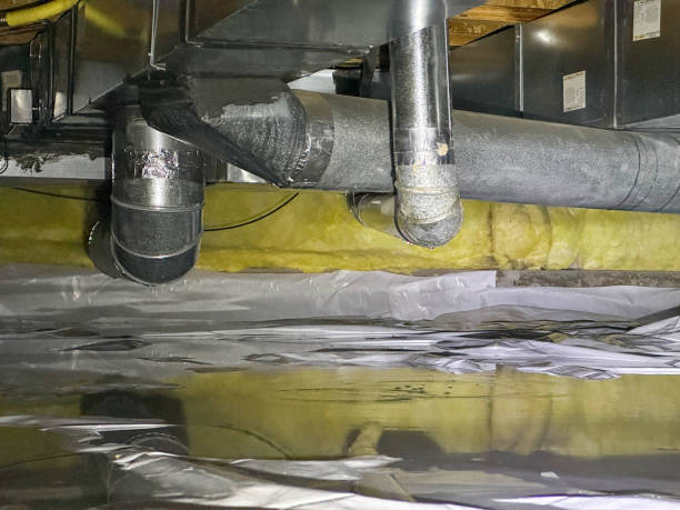 Best Water damage cleanup near me  in Moroni, UT