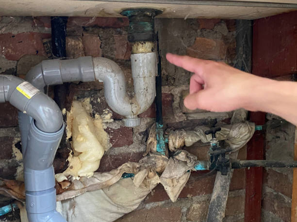 Best Mold removal after water damage  in Moroni, UT
