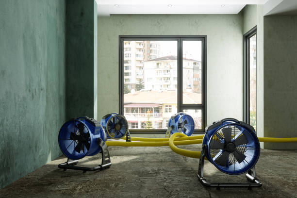 Best Sewage cleanup and water damage restoration  in Moroni, UT