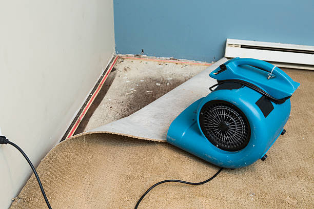 Best Flood damage cleanup  in Moroni, UT